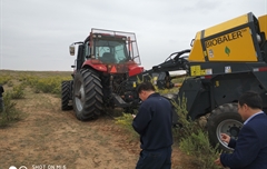 2019年，內(nèi)蒙奈吉牧草有限公司，采購一臺Anderson檸條平茬機(jī)